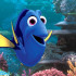 dory2-jpg_164449