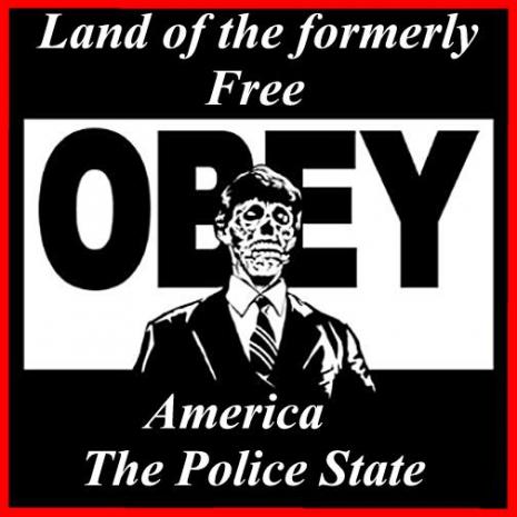 Land of the formerly free. American the Police State