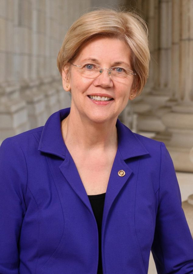 2020 Democratic Presidential Candidates: Elizabeth Warren