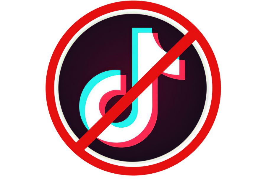 Is TikTok Being Banned?