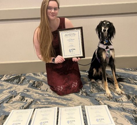 A girl and a Saluki pose with several awards.