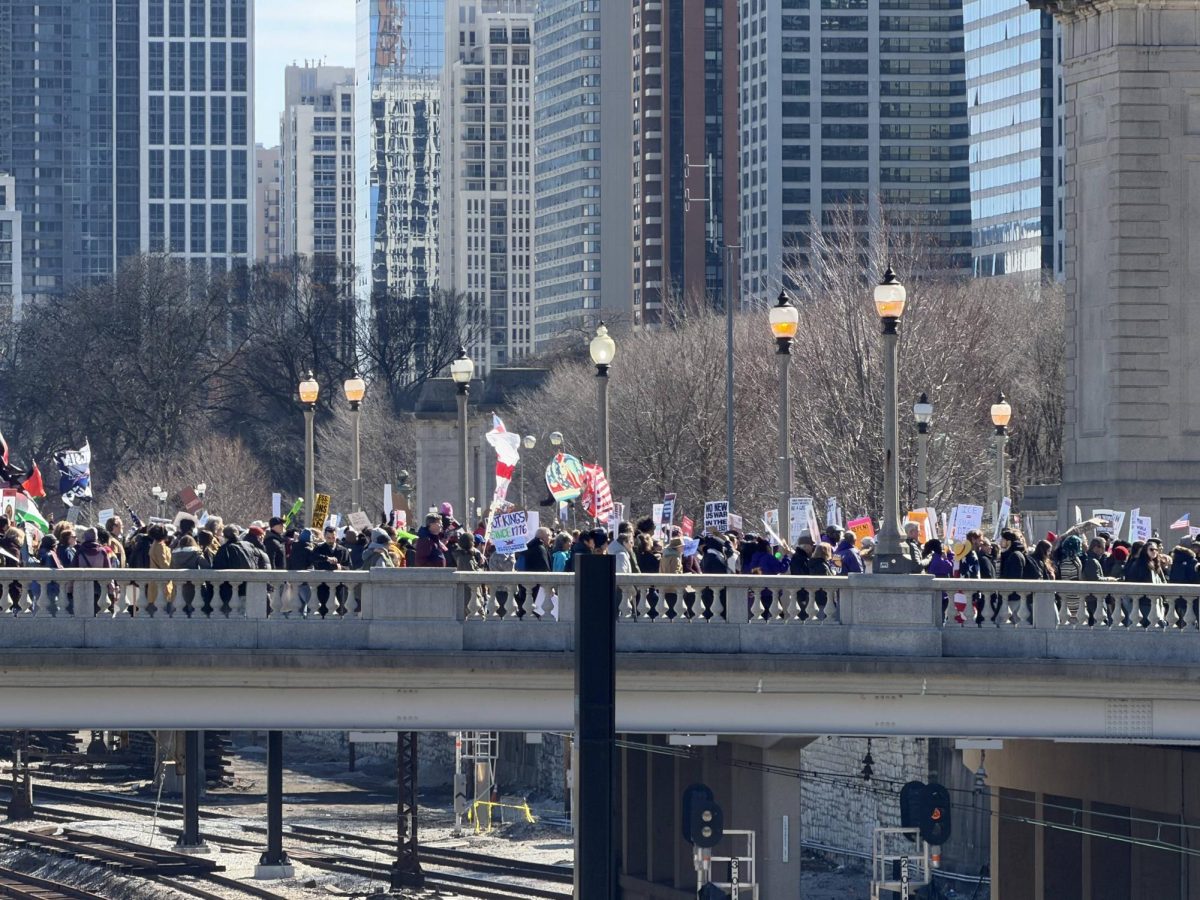 Photos: No Kings in Chicago, Illinois